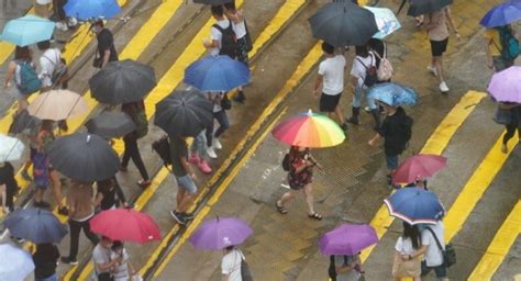 落雨|落雨